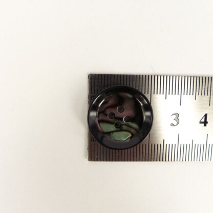 Plastic Paua Button 20mm